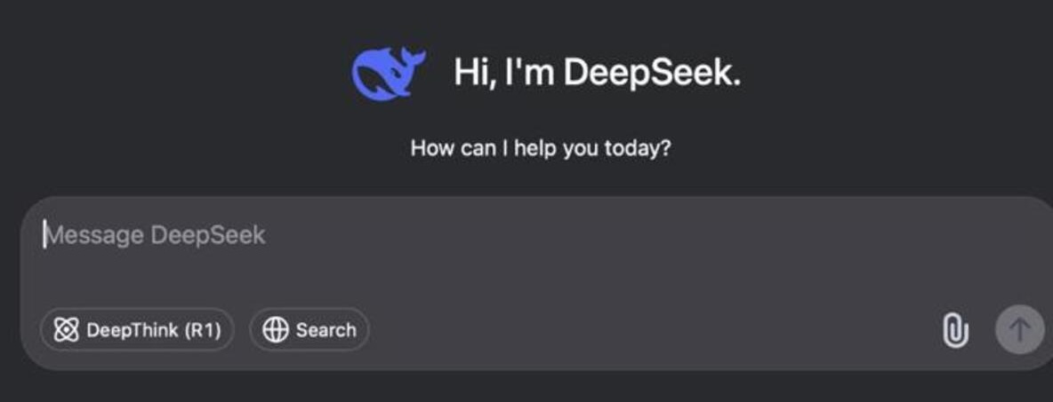 DeepSeek UI